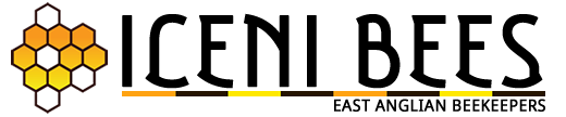 Iceni Bees